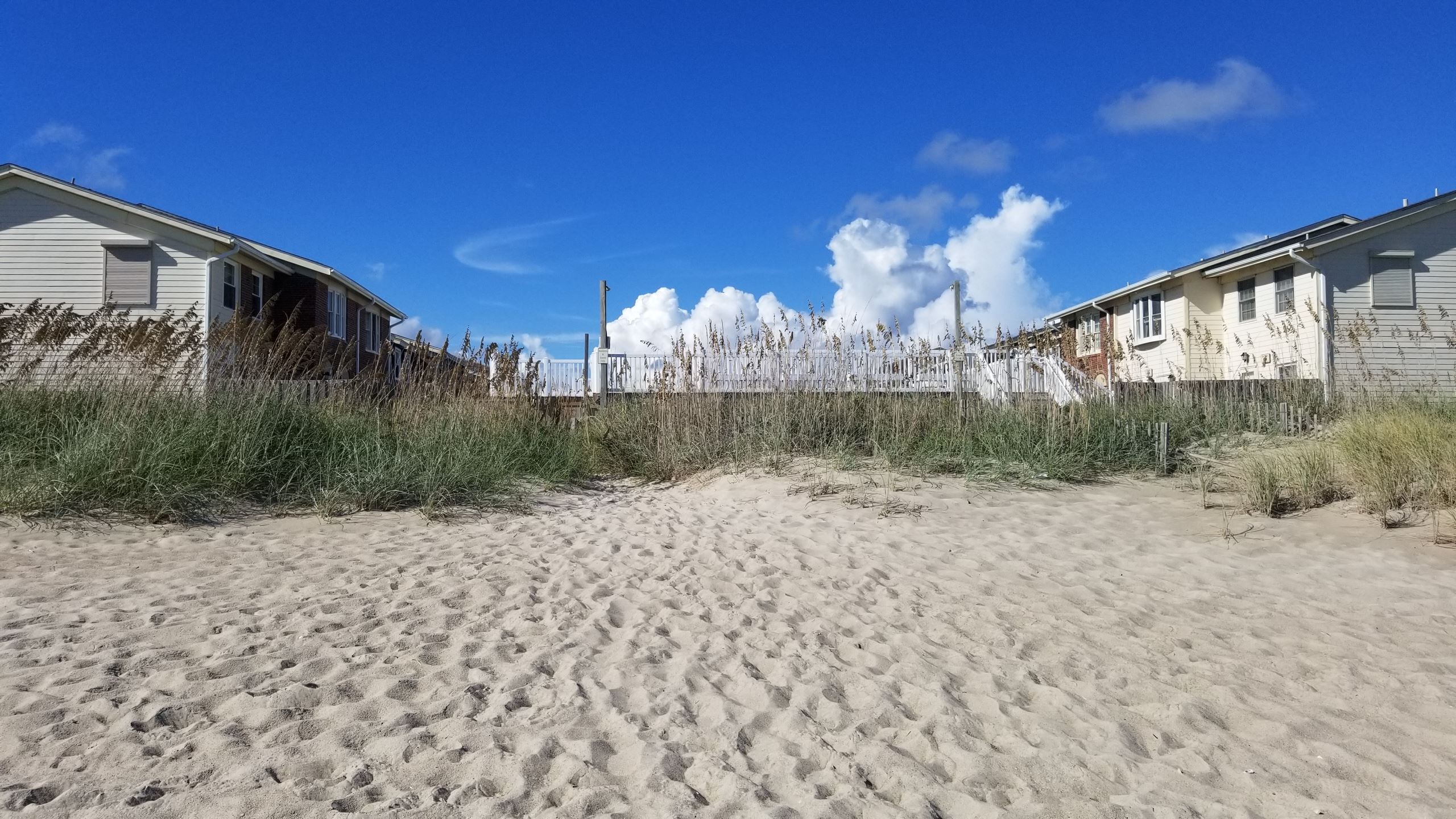 Pine Knoll Townes Looking North