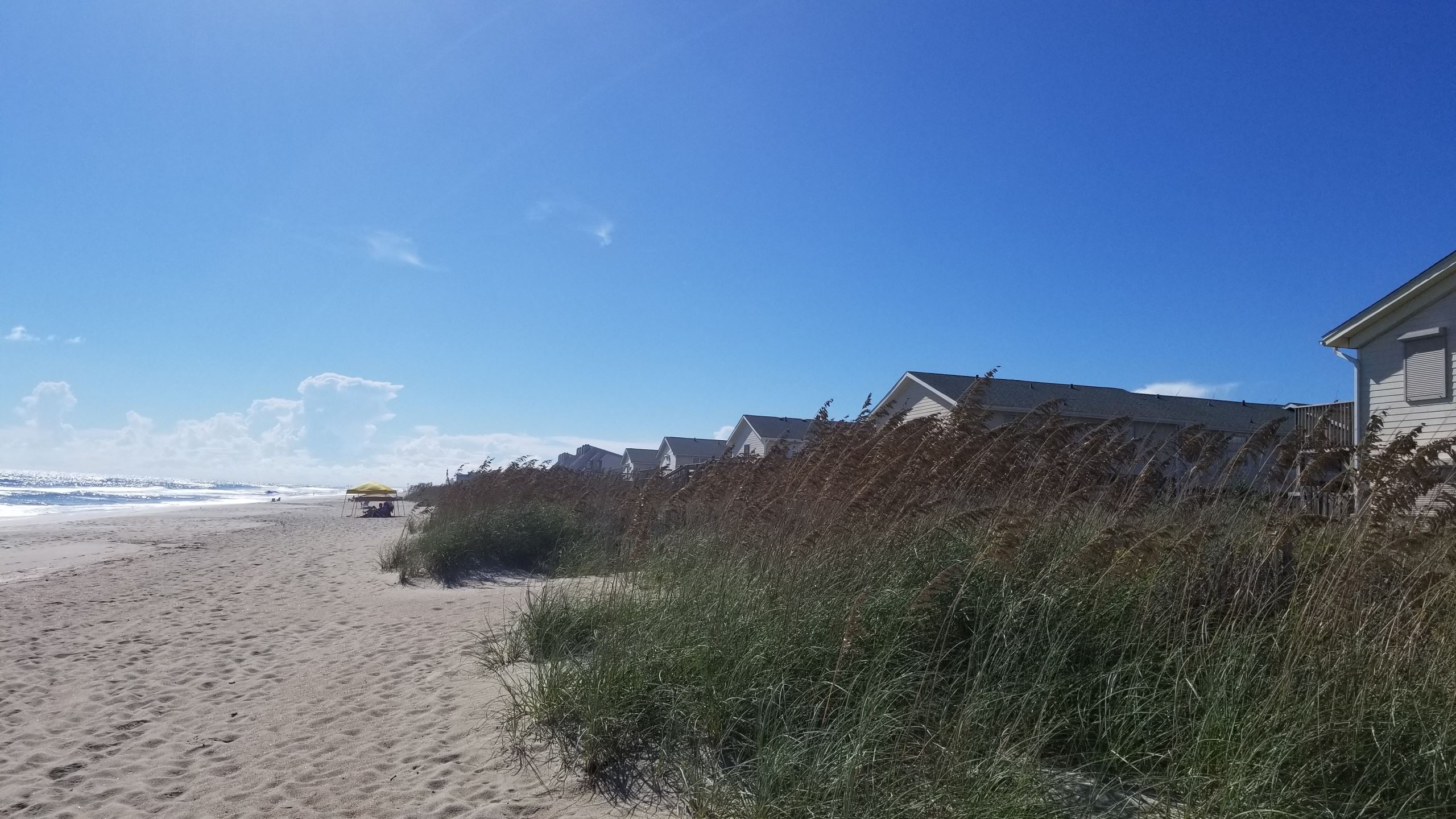 Pine Knoll Townes Looking West