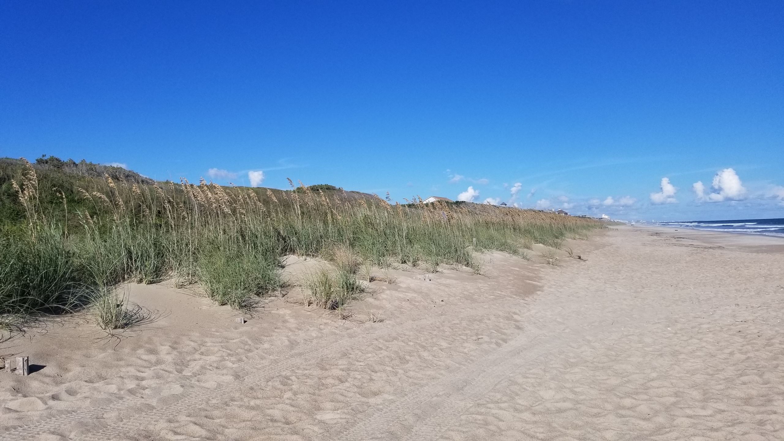 Trinity Center Looking East 2