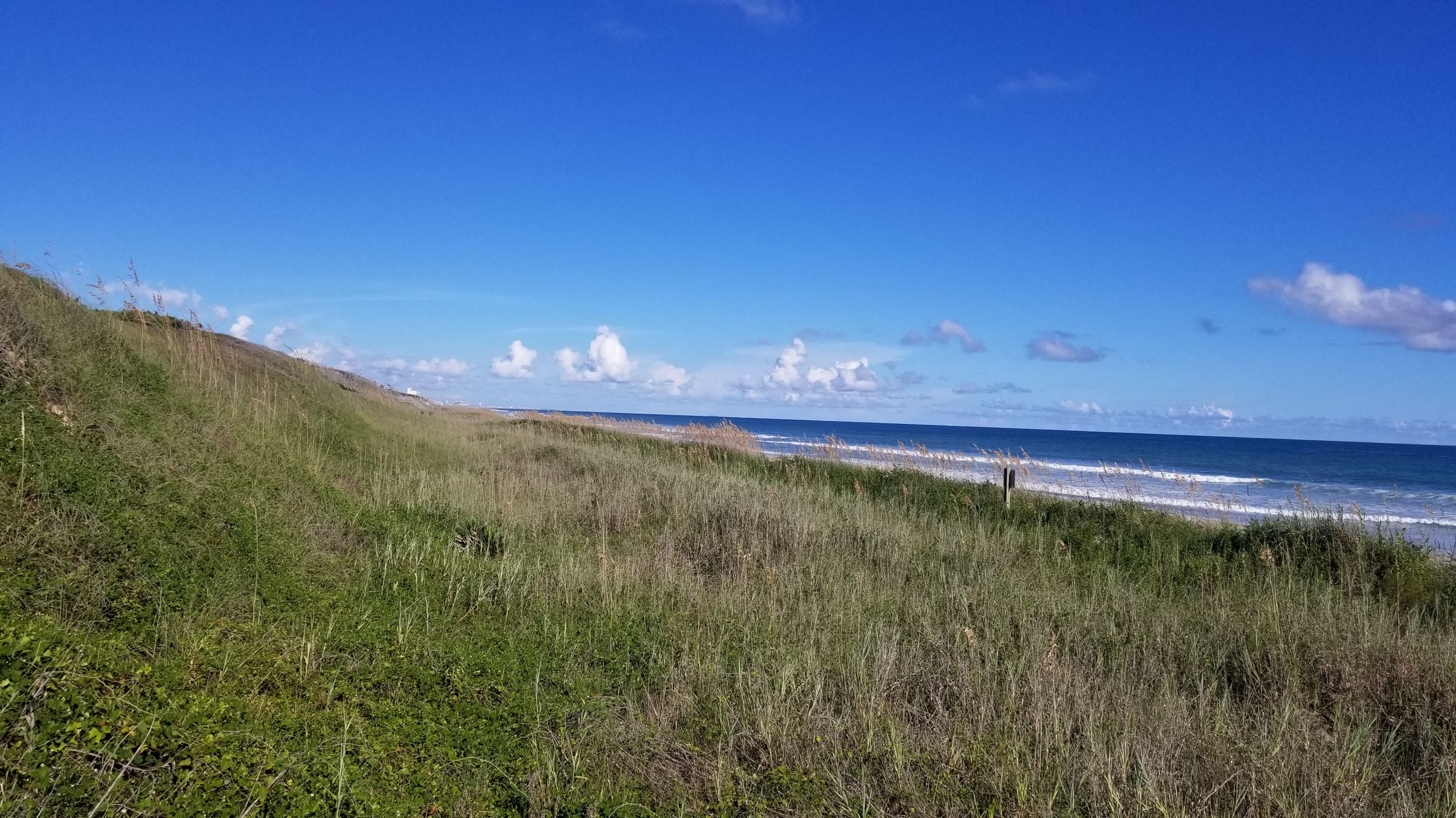 Trinity Center Looking East