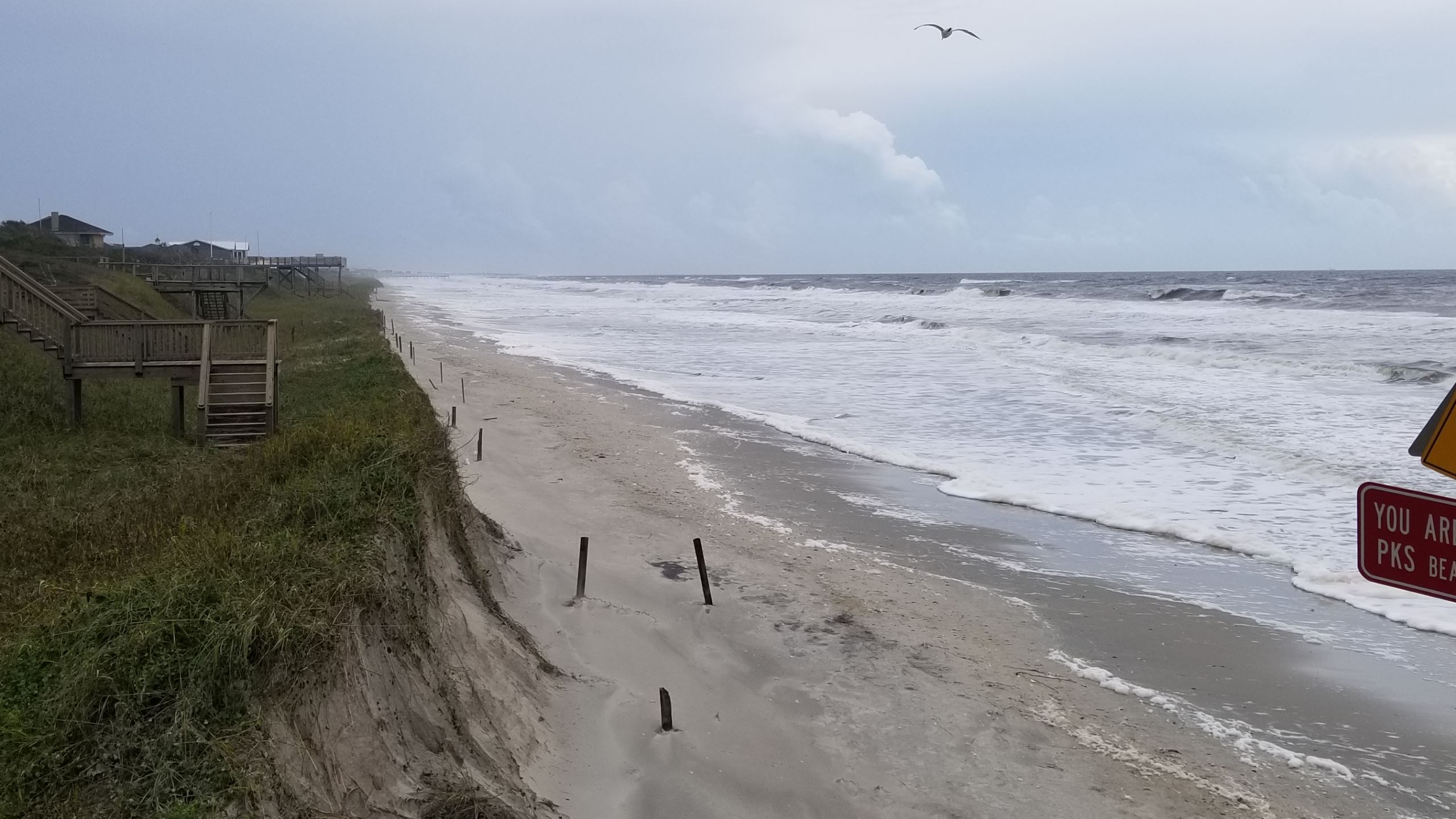 Memorial Park Looking East