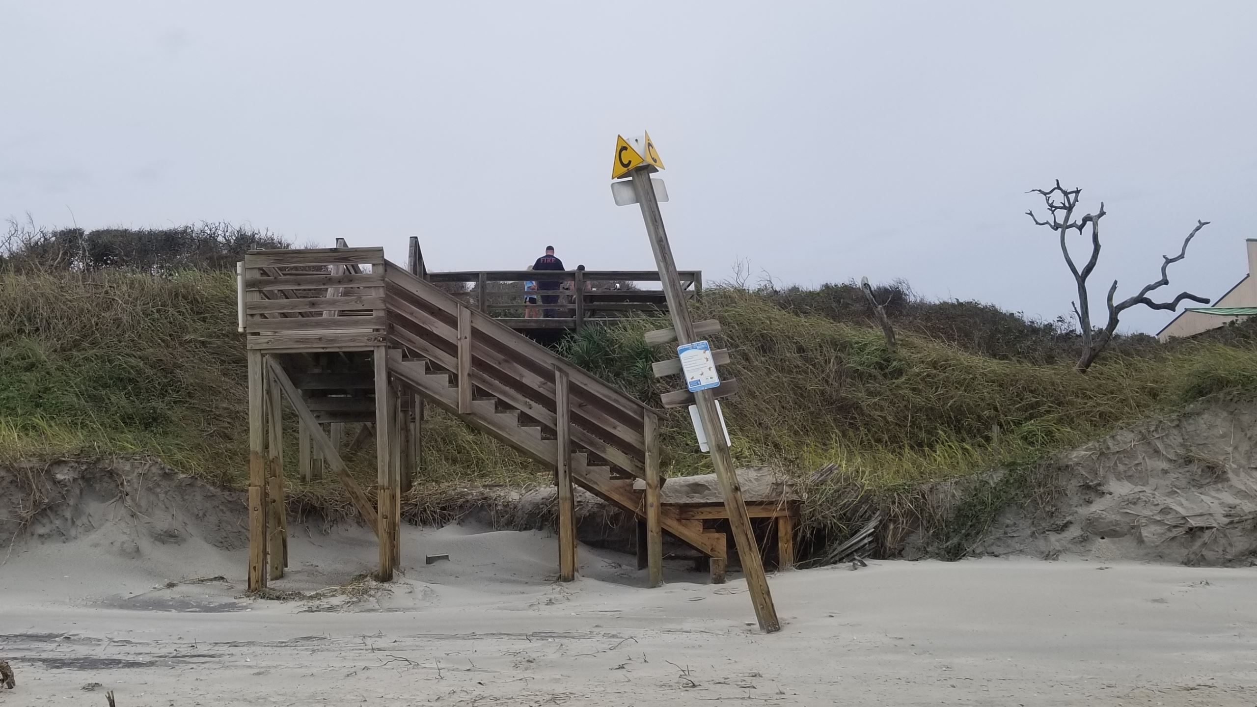 Memorial Park Looking North