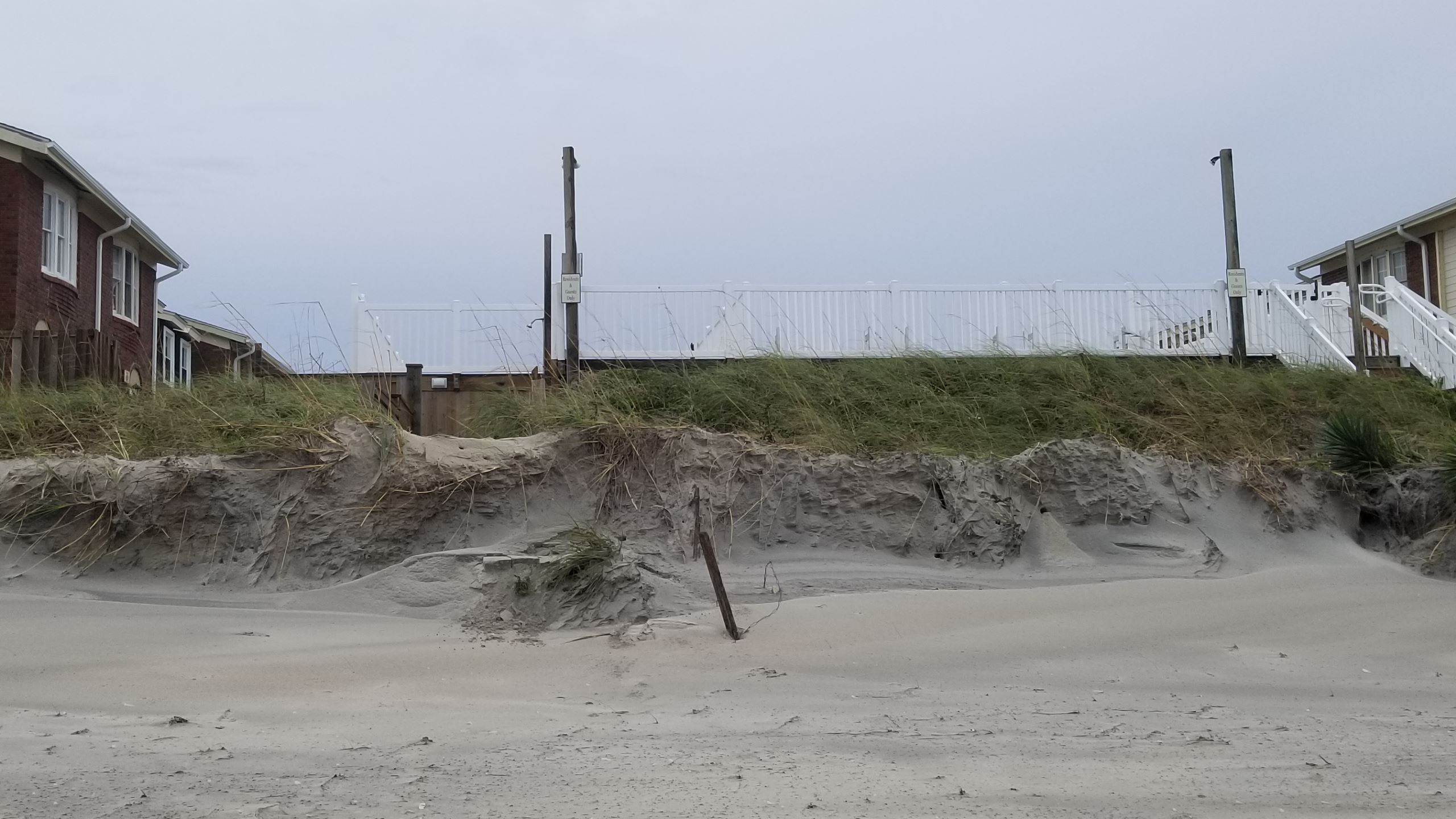 Pine Knoll Townes Looking North