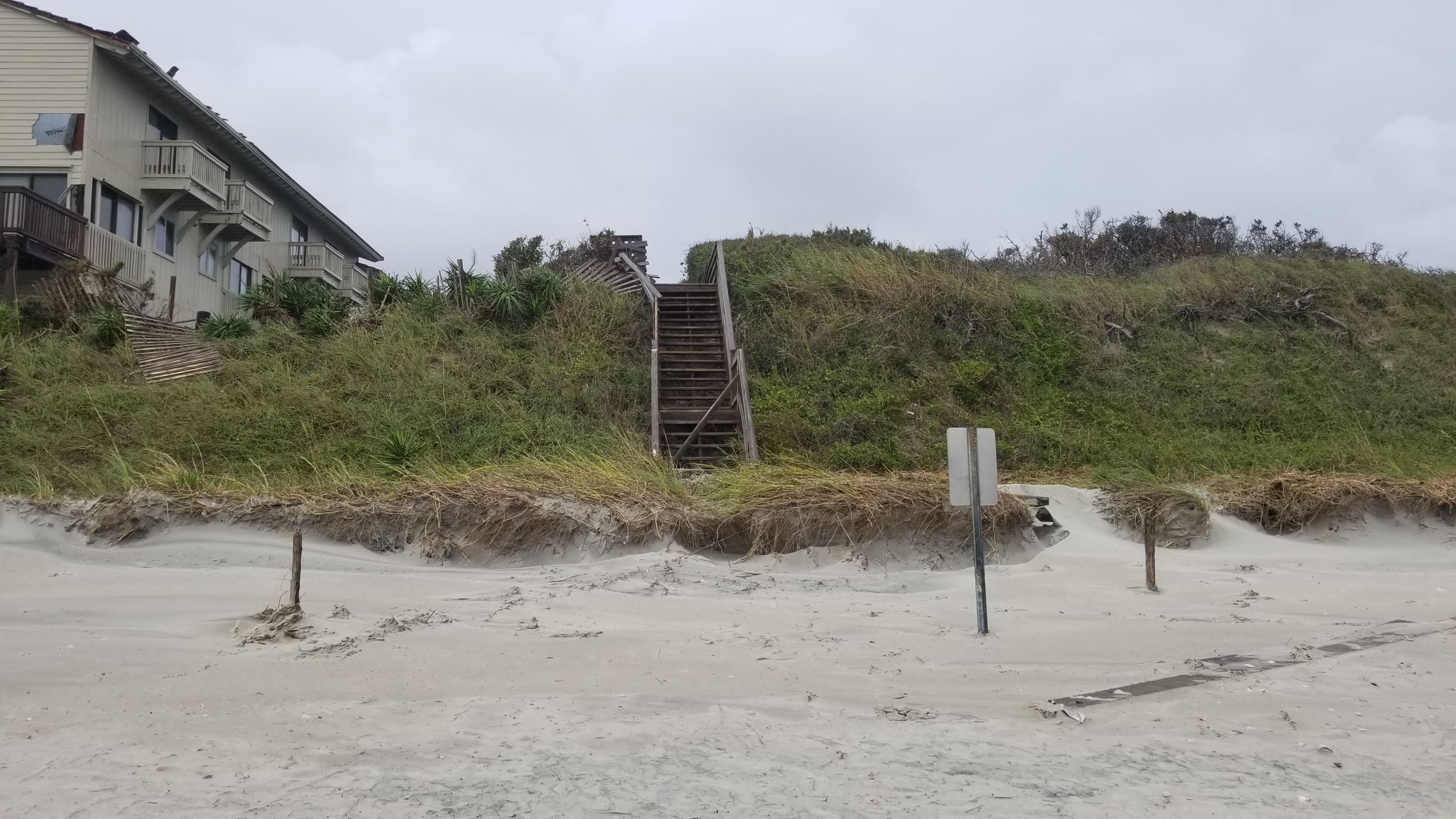 Trinity Center PKS Looking North