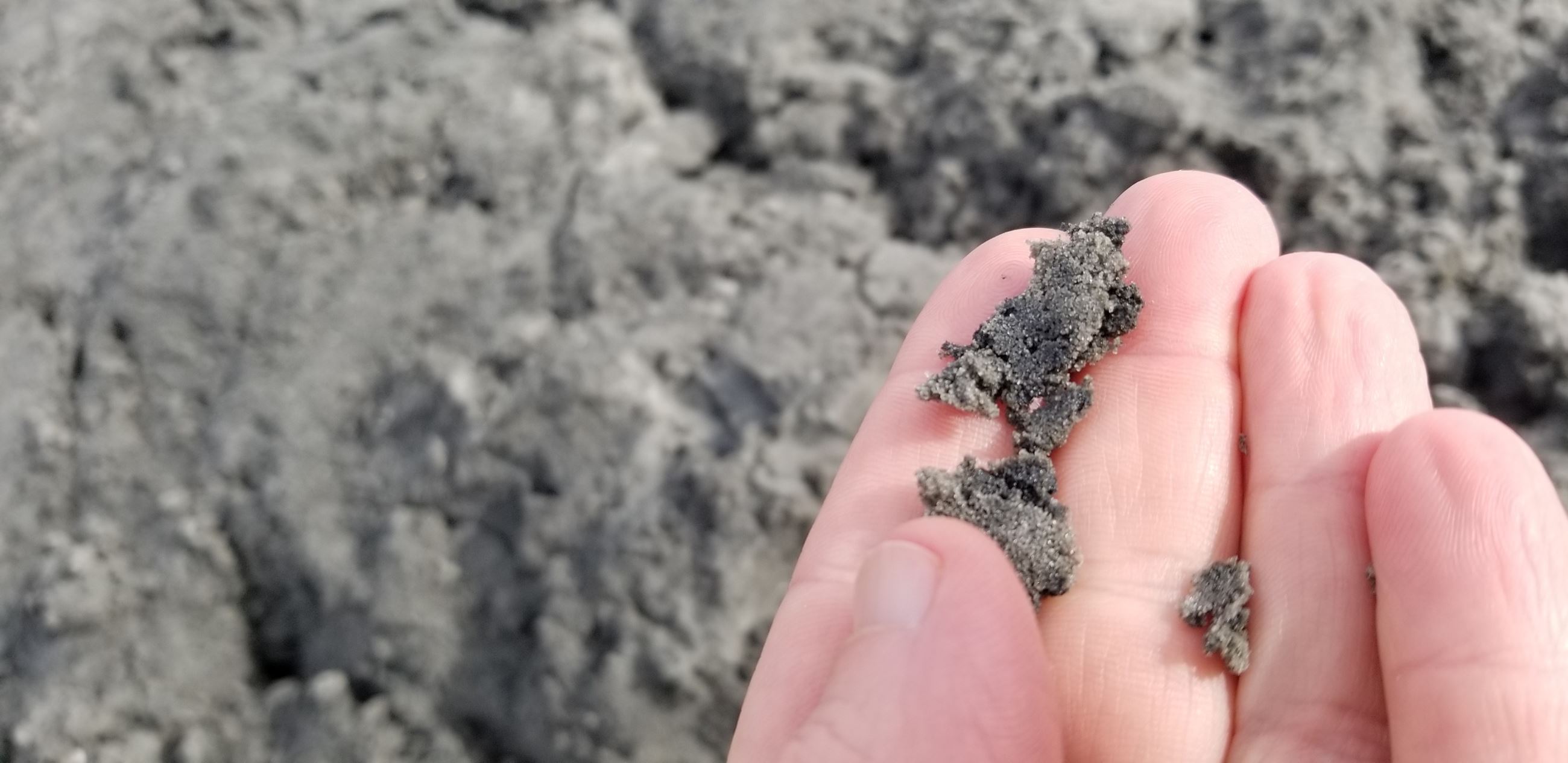 20190213_104813_resized