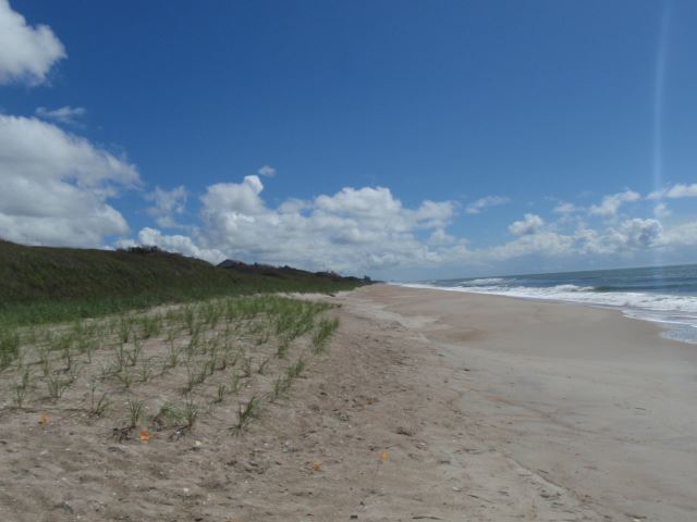 Trinity Center Looking East