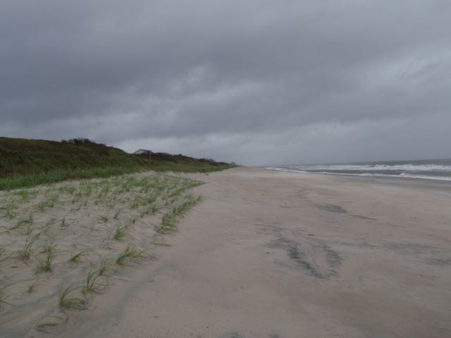 Trinity Center Looking East