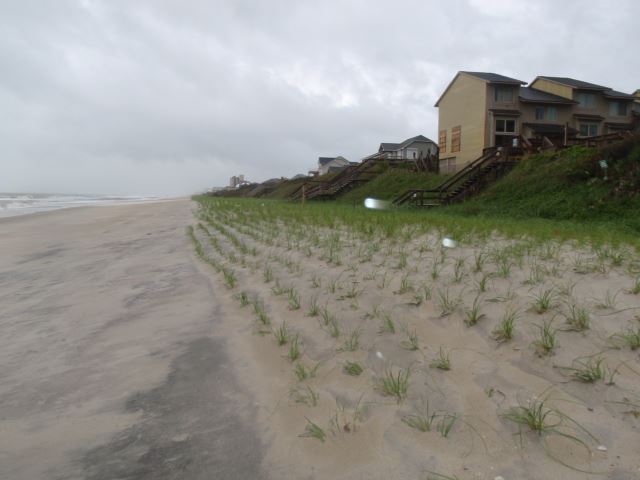 Trinity Center Looking West